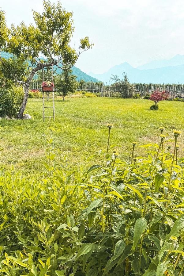 Agriturismo Dal Perotin Caldonazzo Eksteriør bilde